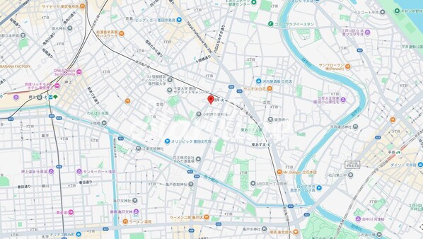 エストゥルース亀戸の物件内観写真